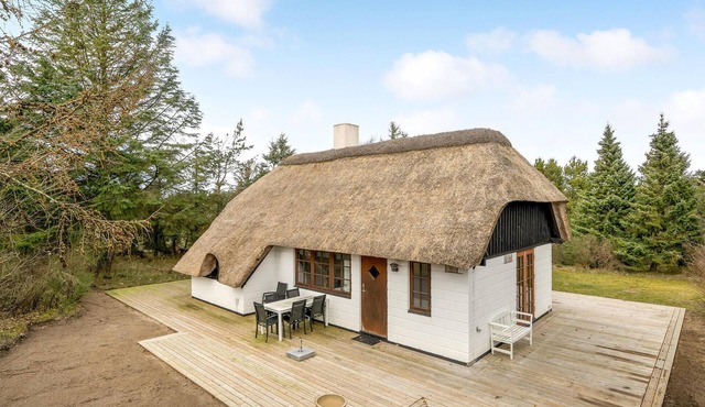 3 bedroom beautiful home in Ringkøbing