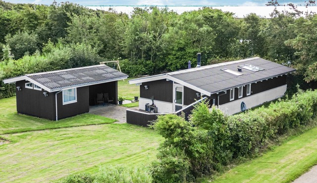 3 bedroom beautiful home in Vinderup