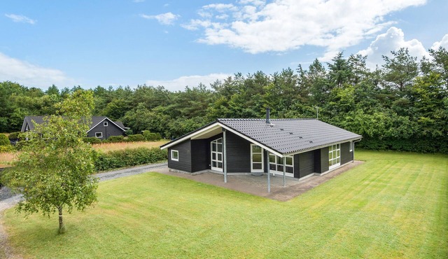 3 bedroom beautiful home in Hovborg