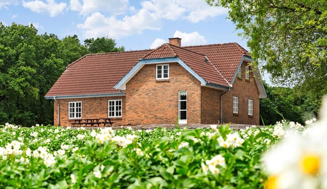 3 bedroom beautiful home in Videbæk