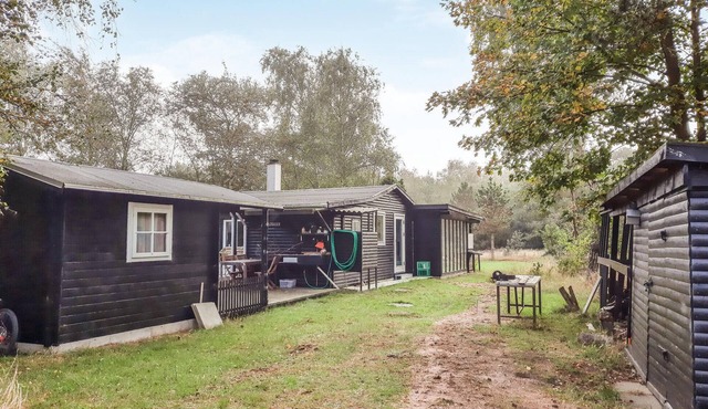 3 bedroom beautiful home in Anholt