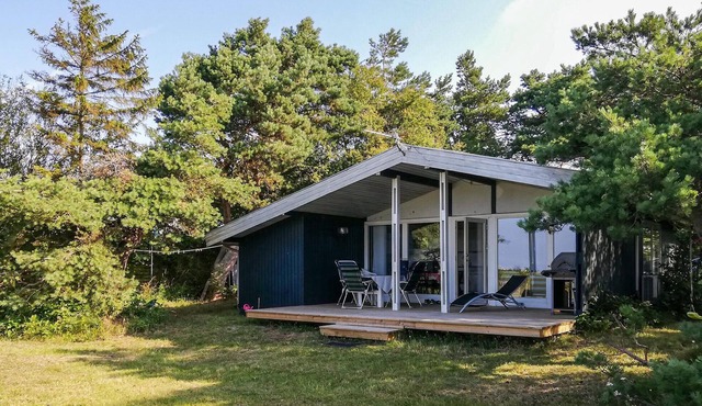 3 bedroom beautiful home in Knebel