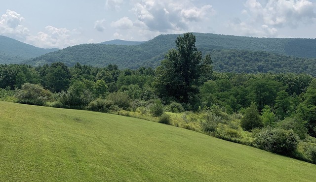 3-bedroom cabin in beautiful Slaty Fork with WiFi