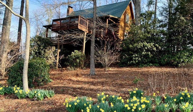 3-bedroom cabin in peaceful Fleetwood with WiFi, AC. Enjoy nature