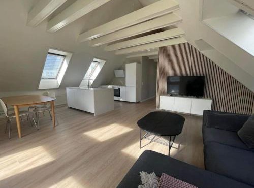 3-bedroom city center w private parking