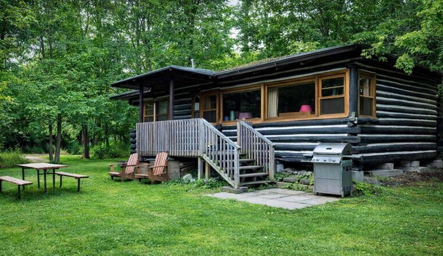 3-Bedroom Cottage on Balsam Lake in Kawarthas #14