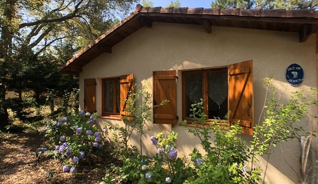 3-bedroom cottage near the Ocean - Pets allowed