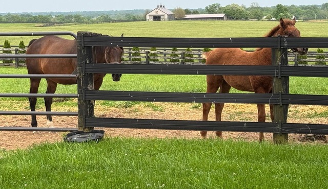 3 bedroom cottage on horse farm close to Kentucky Horse Park, Keeneland, the Ark