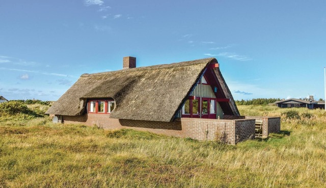 3 bedroom cozy home in Ringkøbing
