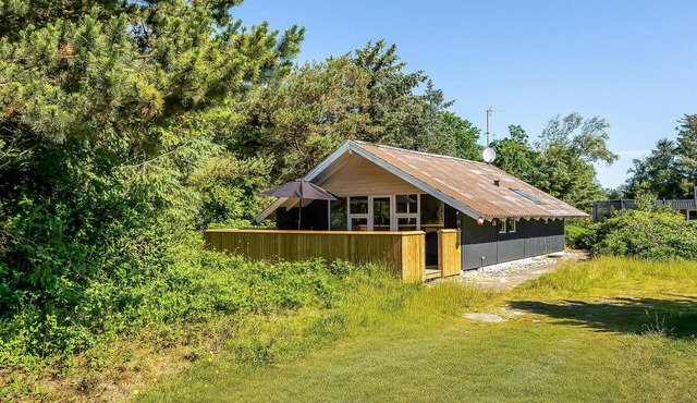 3 bedroom cozy home in Blåvand