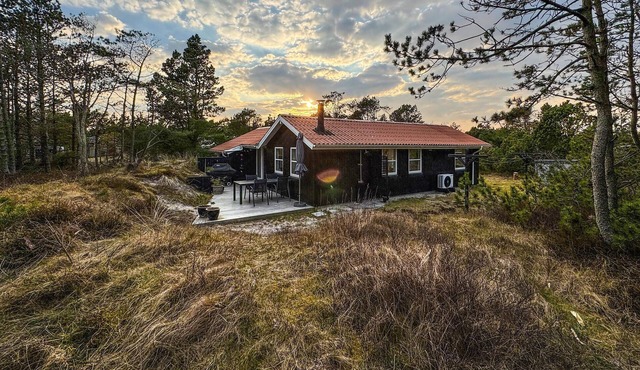 3 bedroom cozy home in Thisted