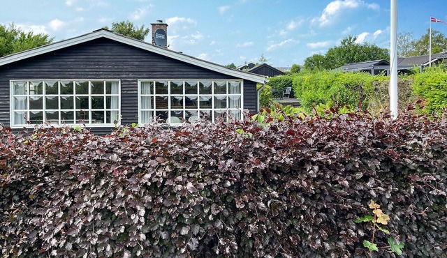 3 bedroom cozy home in Hejls