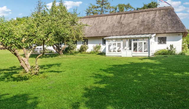 3 bedroom cozy home in Nysted