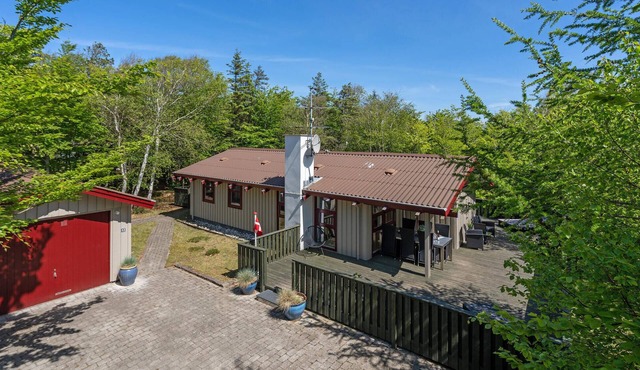 3 bedroom cozy home in Saltum