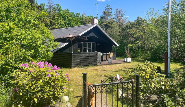 3 bedroom cozy home in Skjern