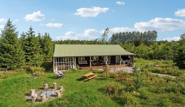 3 bedroom cozy home in Vemb