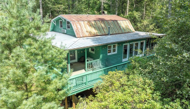 3 Bedroom Dog-Friendly Cabin Near Dupont State Forest