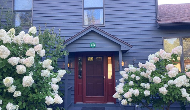 3-bedroom furnished townhome near Lenox, beautiful views, 3 month min rental