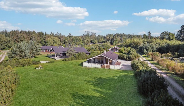 3 bedroom gorgeous home in Ebeltoft