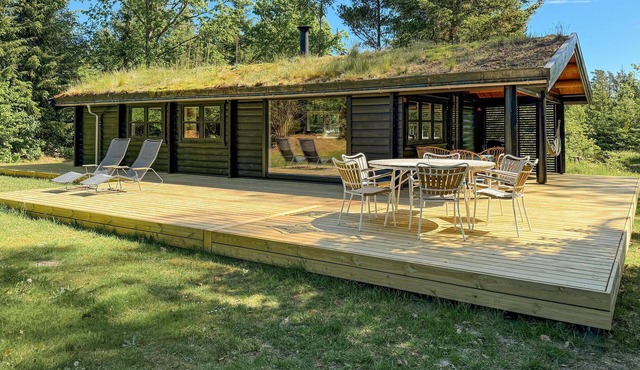3 bedroom gorgeous home in Kolind