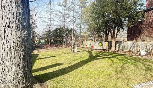 3-bedroom Home with huge backyard in Yonge. 15 minutes to Finch Subway