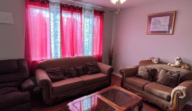 3 bedroom house 5 minutes away from the airport in Colorado Springs all for you.