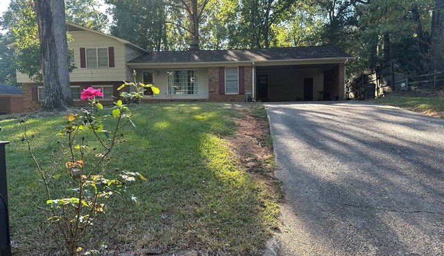 3-bedroom house in charming Tuscaloosa with AC Fireplace, and WiFi. Welcome home