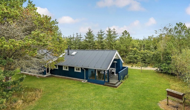 3 bedroom lovely home in Brovst