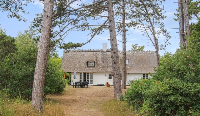 3 bedroom lovely home in Samsø