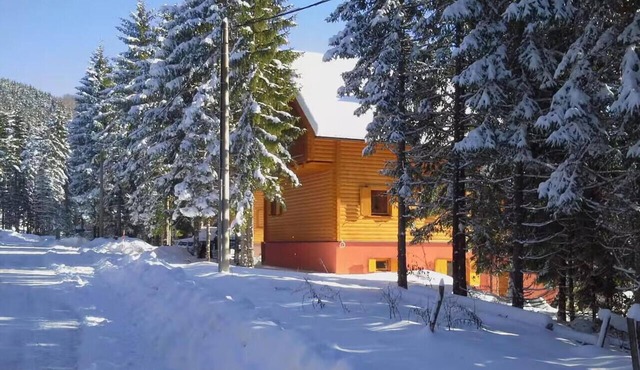 3 bedroom nice apartment in Mrkopalj