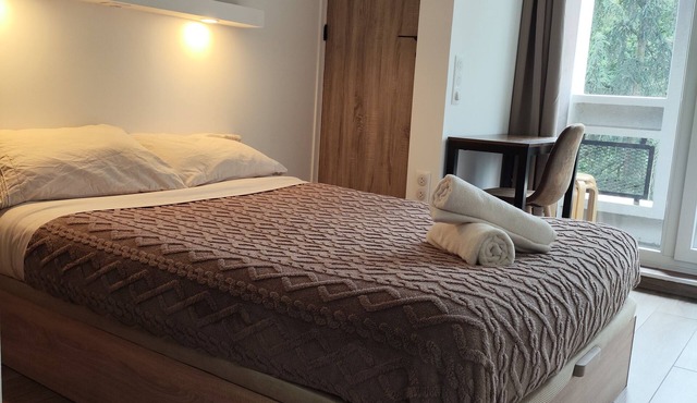 3-bedroom Panoramic view Lyon