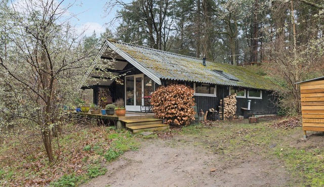 3 bedroom pet friendly home in Ebeltoft