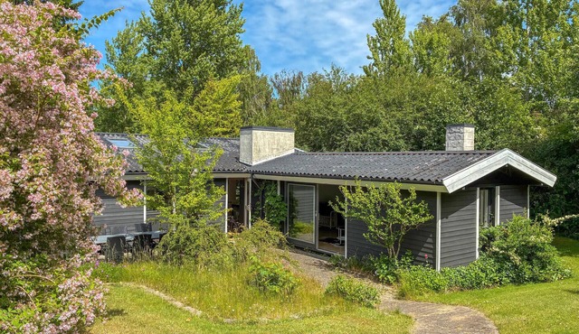 3 bedroom pet friendly home in Græsted