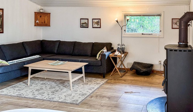 3 bedroom pet friendly home in Brovst