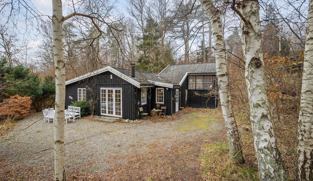 3 bedroom pet friendly home in Vejby