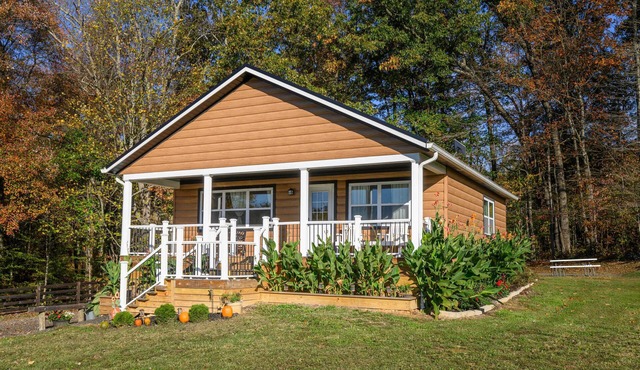 3-bedroom spacious cabin with game room, fishing pond, and Starlink.