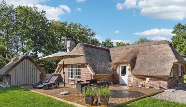 3 bedroom stunning home in Nørre Nebel