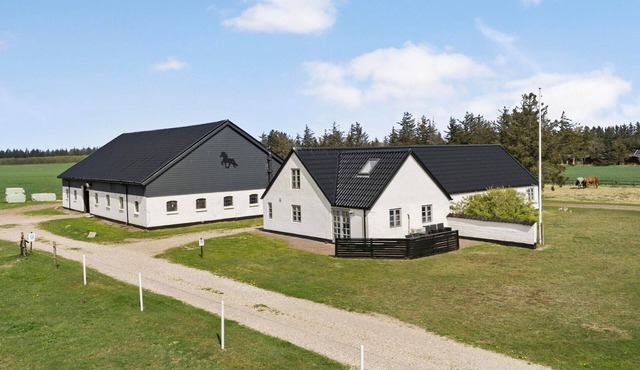 3 bedroom stunning home in Pandrup