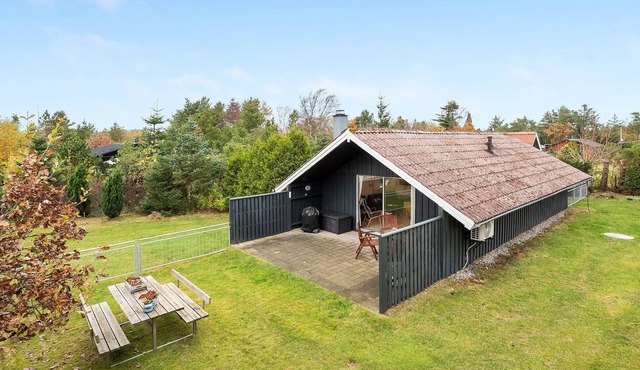 3 bedroom stunning home in Skjern