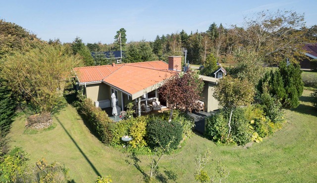 3 bedroom stunning home in Skjern