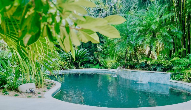 3-bedroom villa just 11 minutes from EverBank Stadium