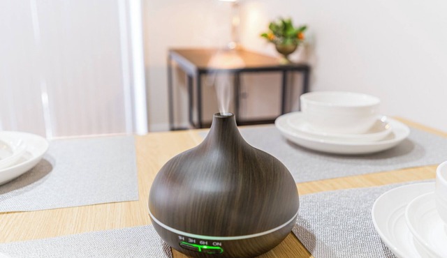 3 Bedroom w Garage mins to Dream Mall & New York City