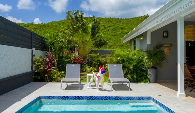 3 bedrooms villa at Marigot 150 m away from the beach with private pool enclosed garden and wifi