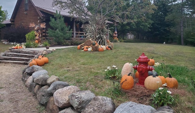 3 BR Cabin on 80 Acres with Hiking, ATV, Horse Trails WiFi, AC, Fishing Pond
