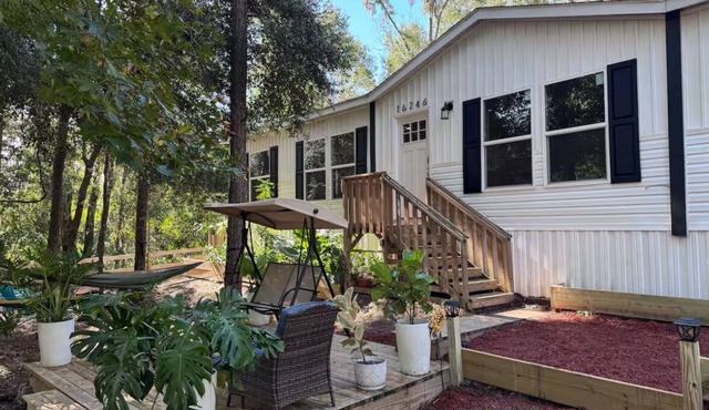 3 BR Cozy Pine Tree Sanctuary in Downtown Alachua