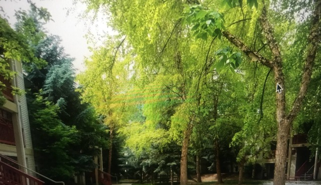 3 BR Fabulous Group/Family Getaway - Fully Furnished - Central Boise - D107