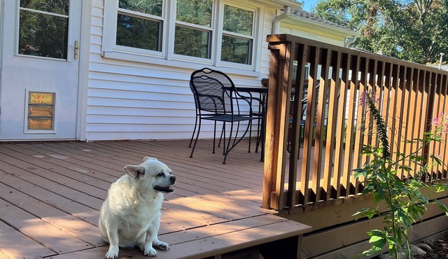 3 BR house convenient Clemson Greenville Silos. Fenced yard-Deck. Dog friendly