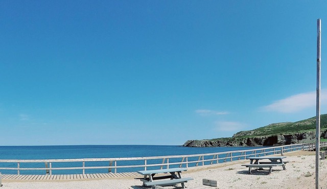 3 br House for Rent in Gros Morne National Park