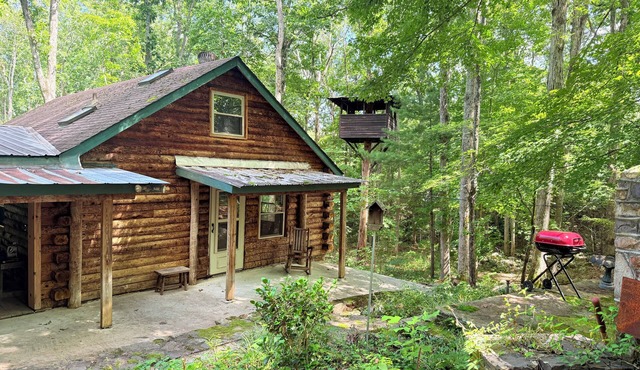 3 BR Log Cabin & 14 acres of private forest; short drive from New Castle and AT