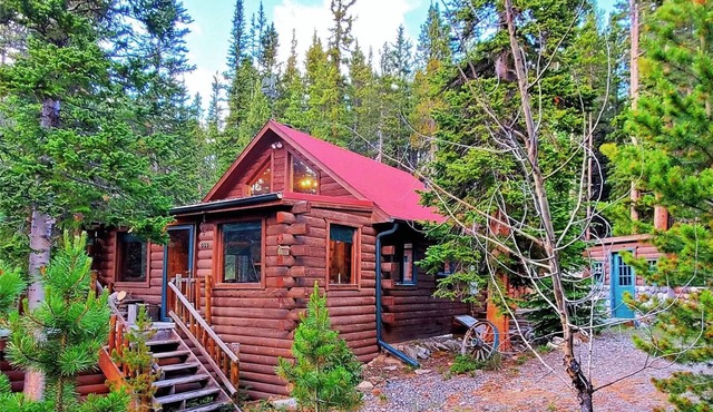3 BR Mountain Log Cabin at St. Mary's Glacier
